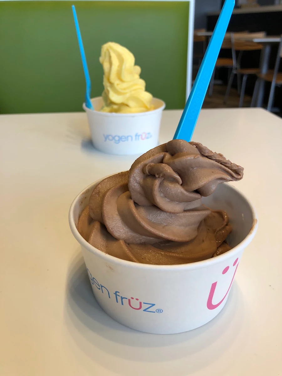 Frozen Yogurt