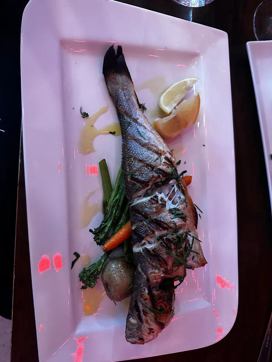 Sea Bass