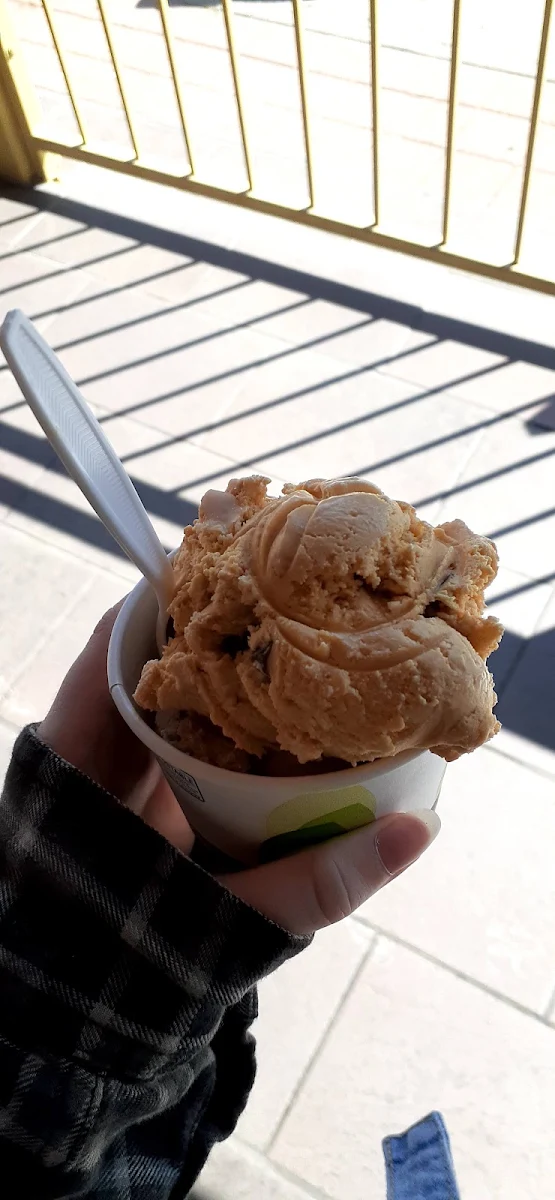 Maple Walnut and Salted Caramel Truffel Ice Cream