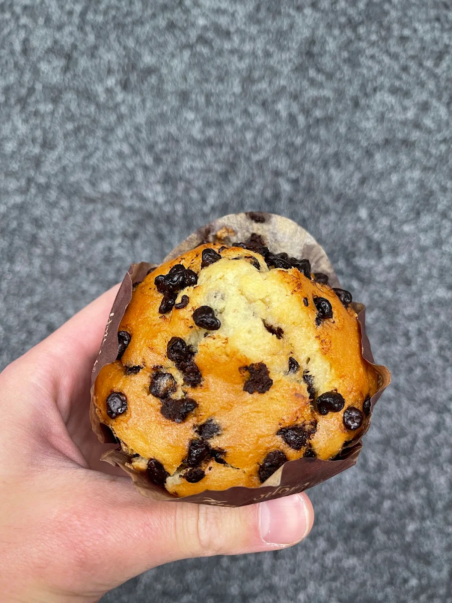 Chocolate Chip Muffin