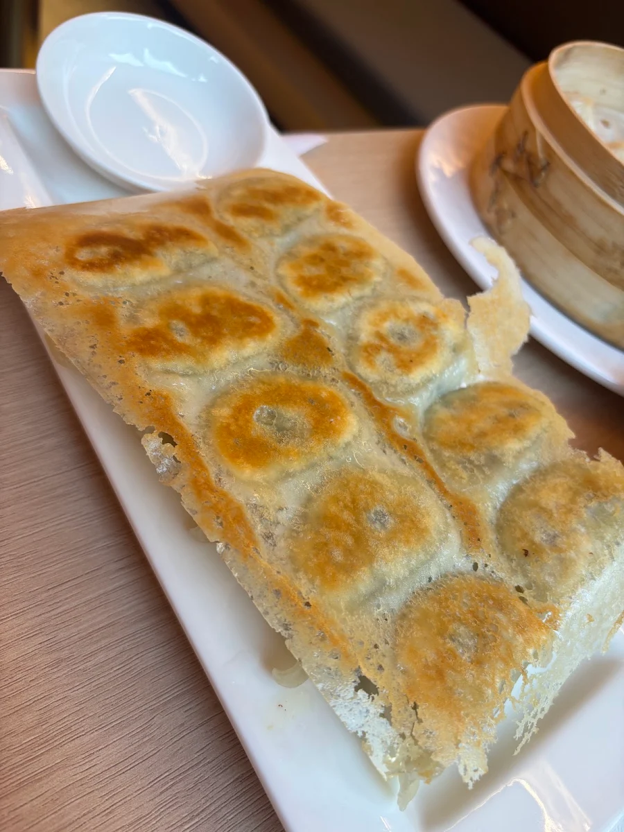 Chives & Vermicelli Dumplings Fried Steam