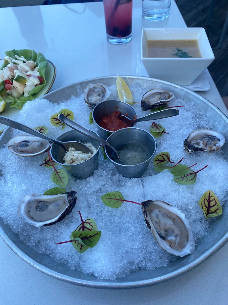 Oysters by the Half Dozen