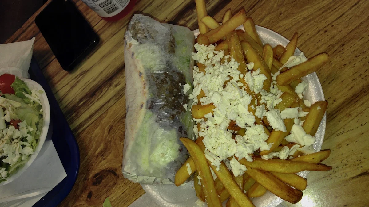 Beef Gyro with Greek Fries