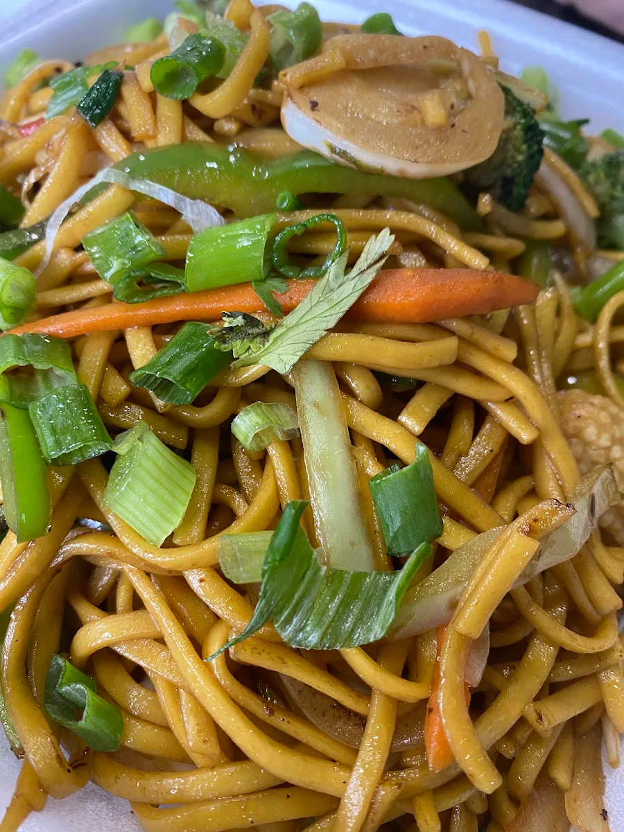 Mixed Veg Hakka Noodles