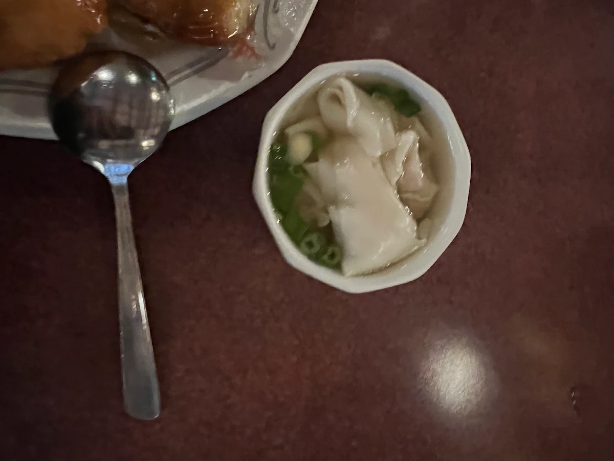 Won Ton Soup