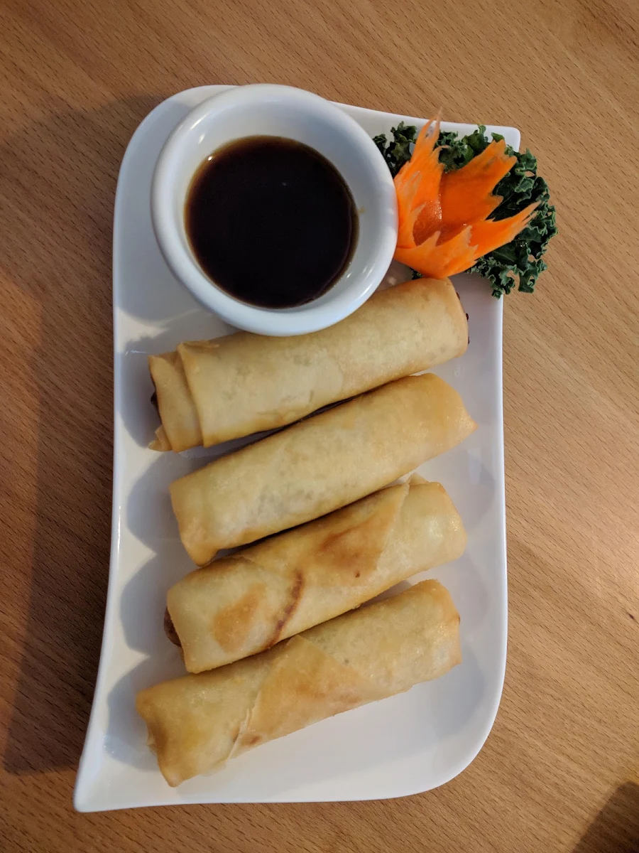 Vegetarian Spring Roll