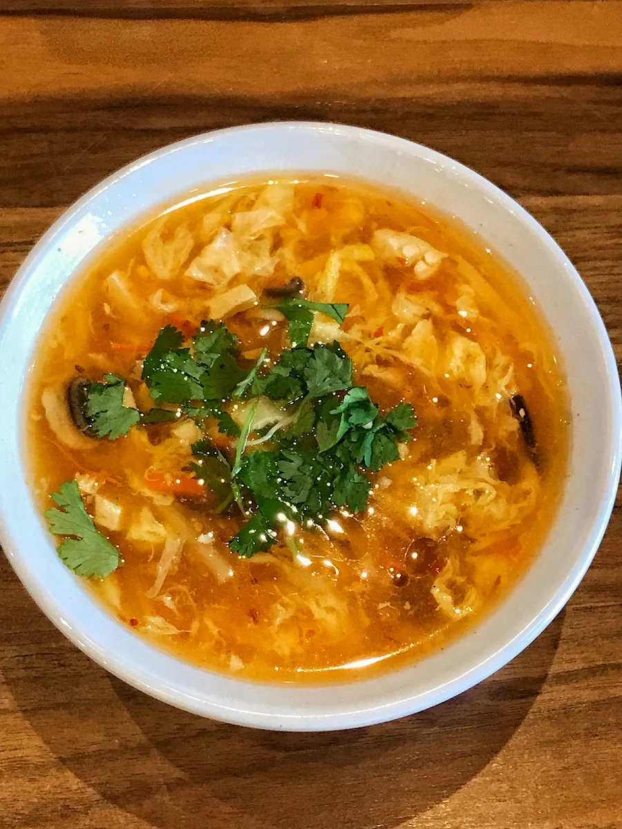 Hot & Sour Soup V