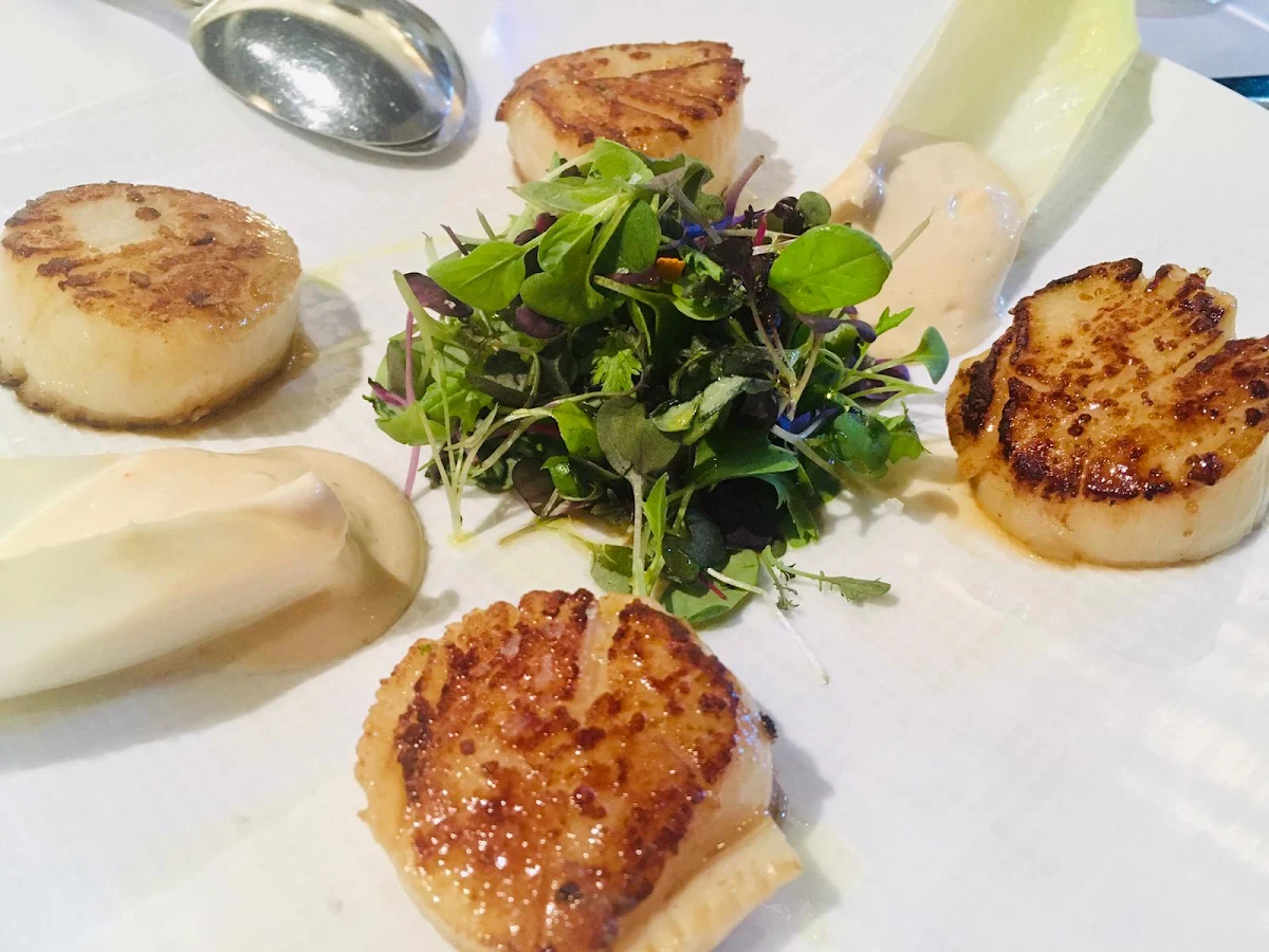 Scallops