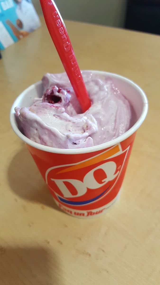 Summer Berry Cheesecake Blizzard