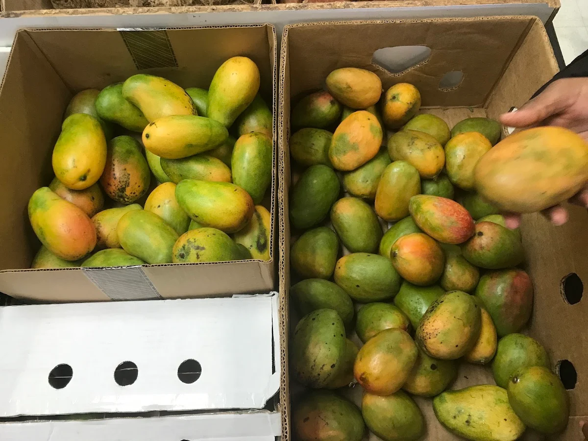 Mango, Aunt Elsie Caribbean Kitchen