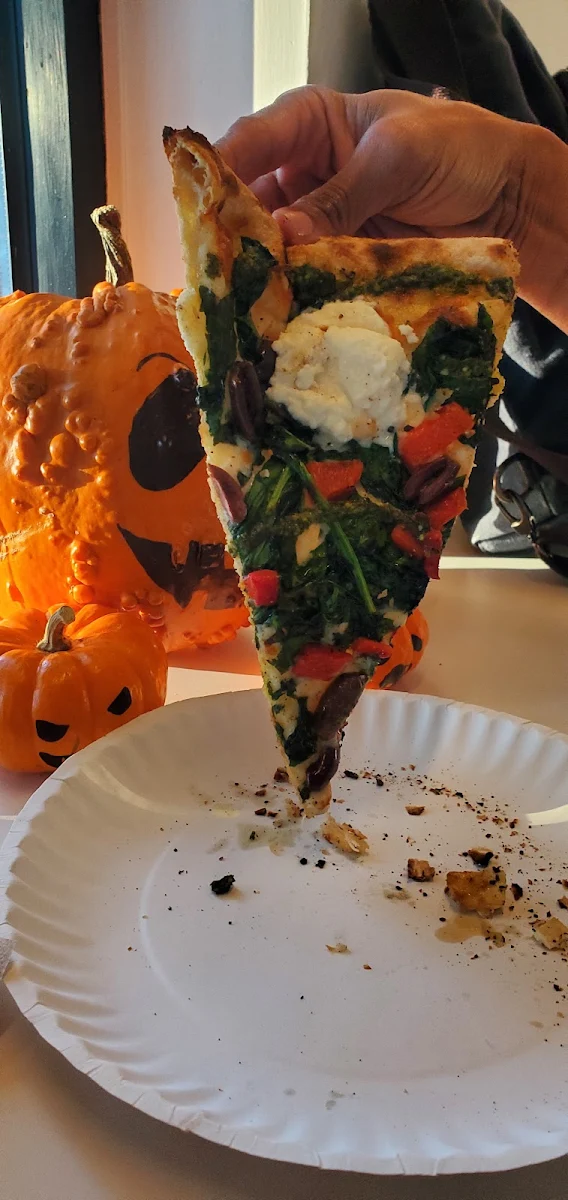Veg Mozzarella Cheese Pizza Slice