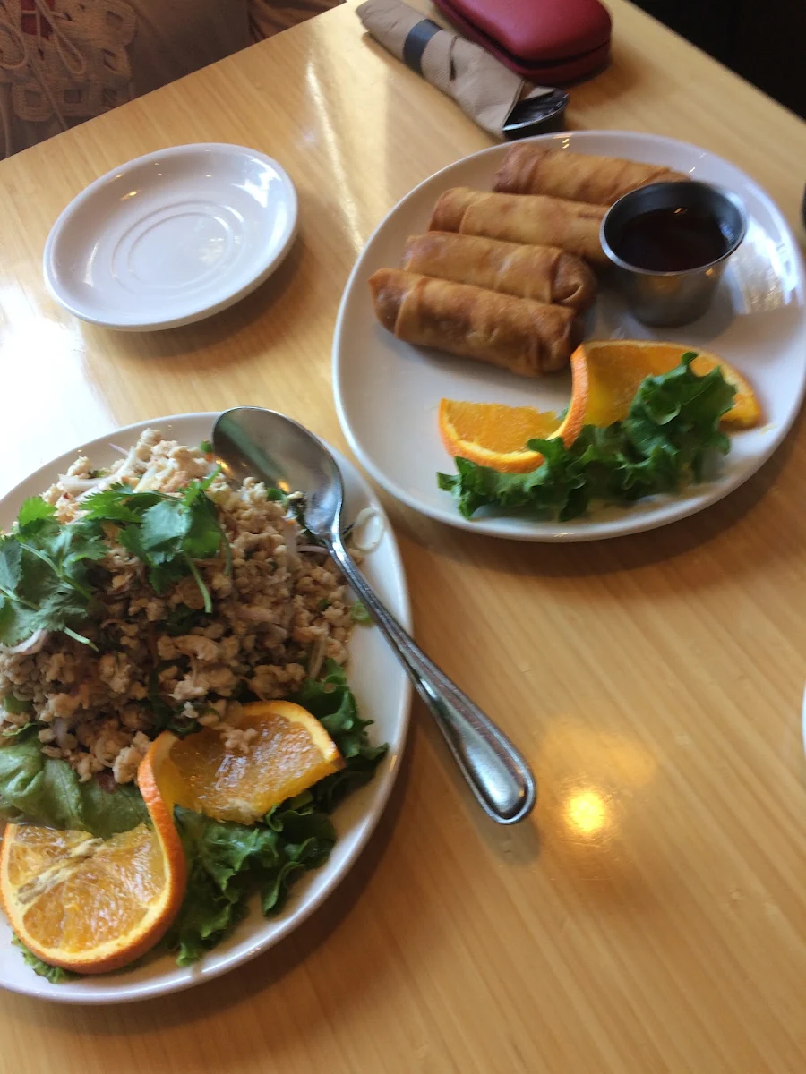Spring Roll, Baan Thai Wok & Bar