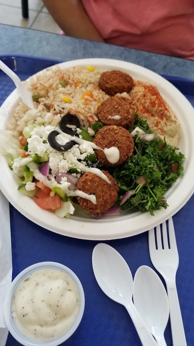 Falafel Plate