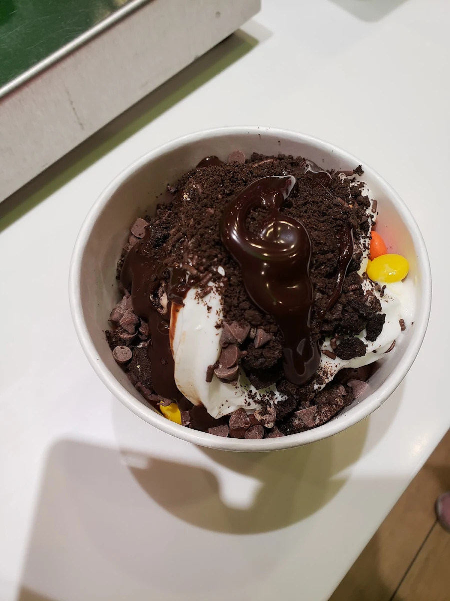 Chocolate Vanilla Ice Cream