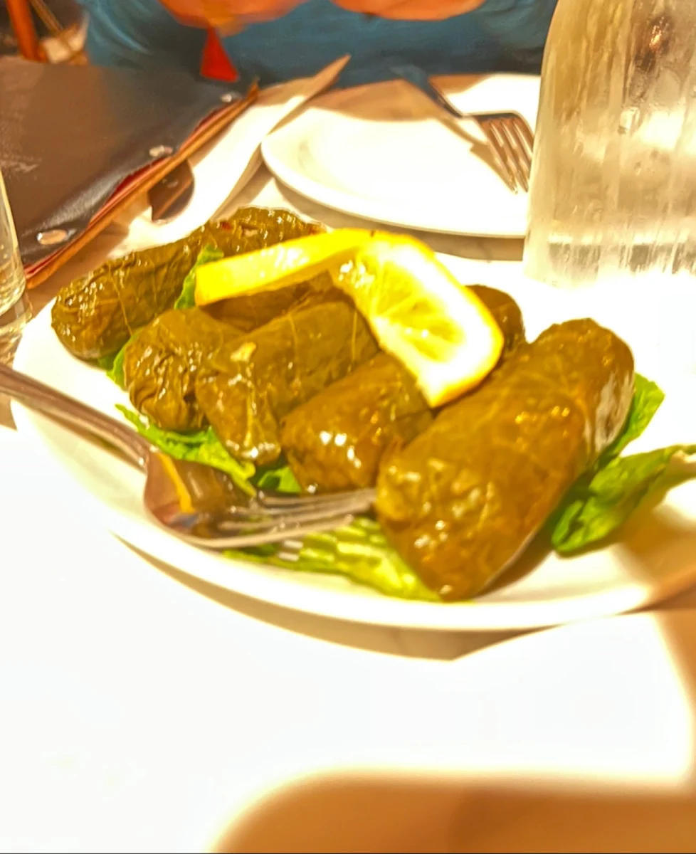 Stuffed Vine Leaves