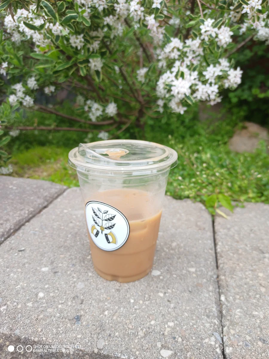 Iced Coffee