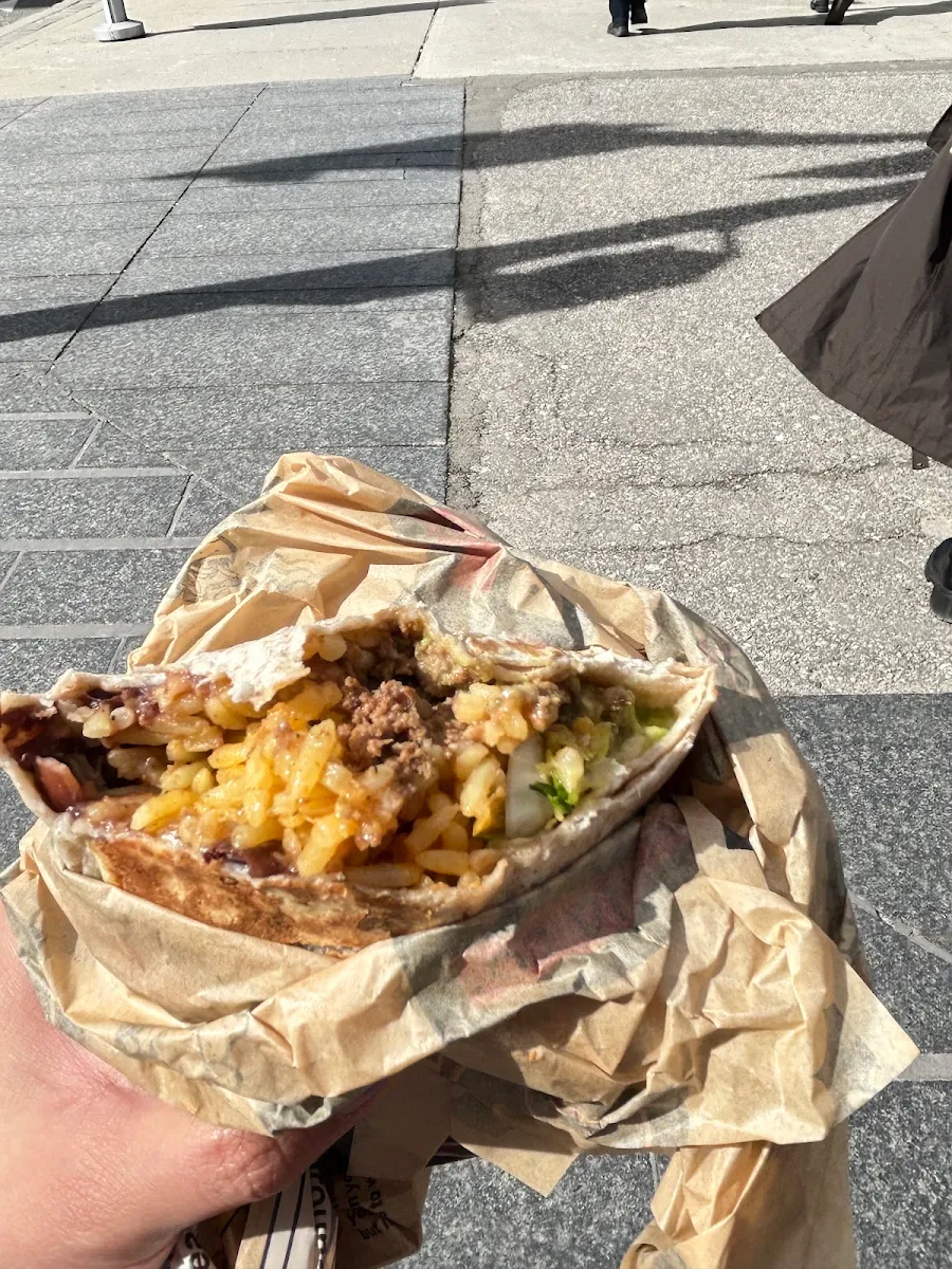 Beef Burrito and Chicken Burrito