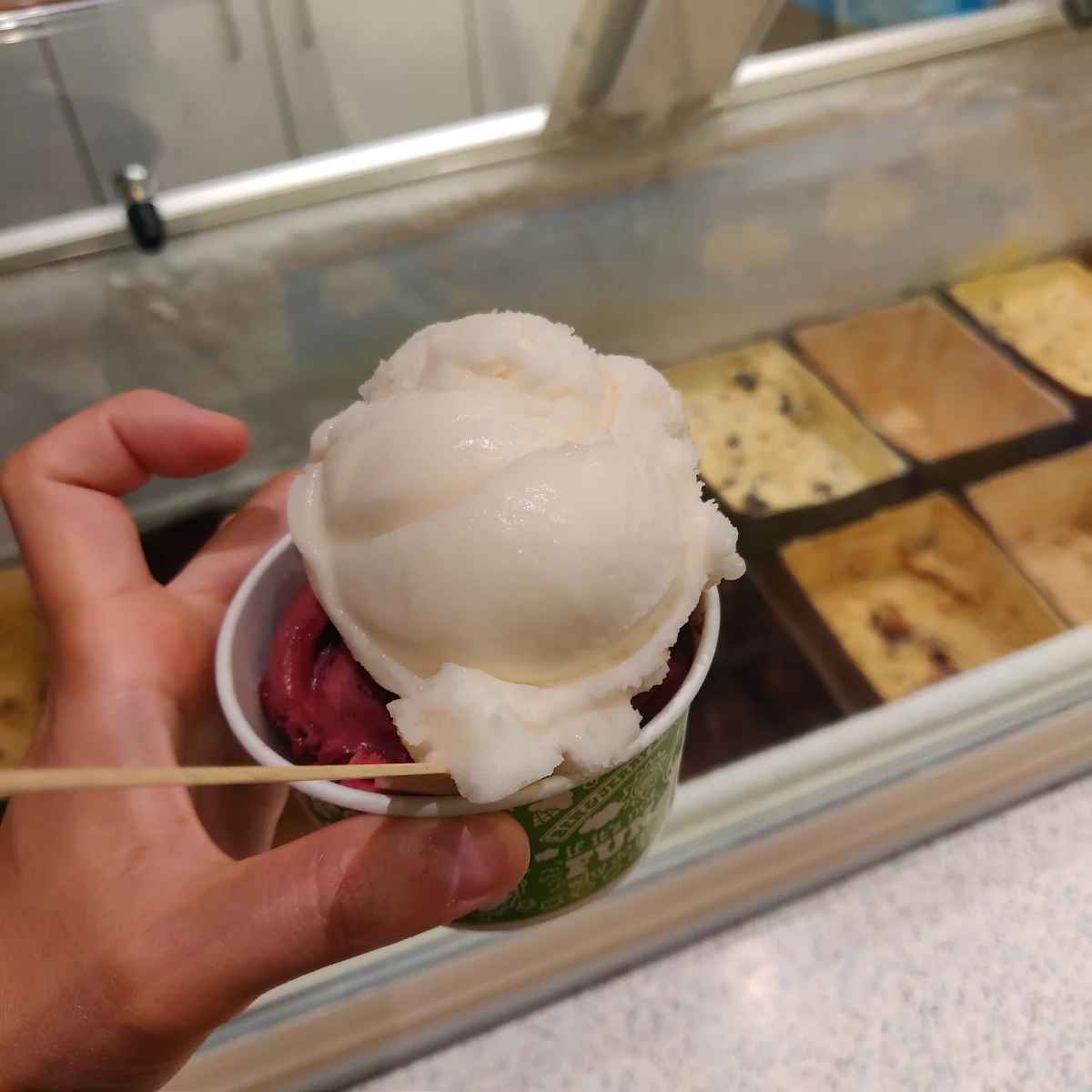 Lemon Sorbet Raspberry Sorbet
