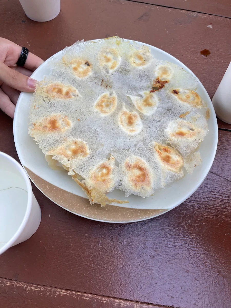 Pan Fried Dumplings