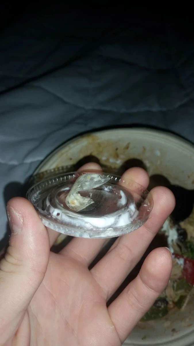Plastic Salad