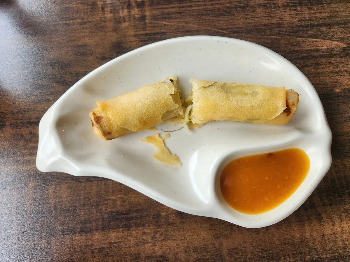 Vegetarian Spring Roll