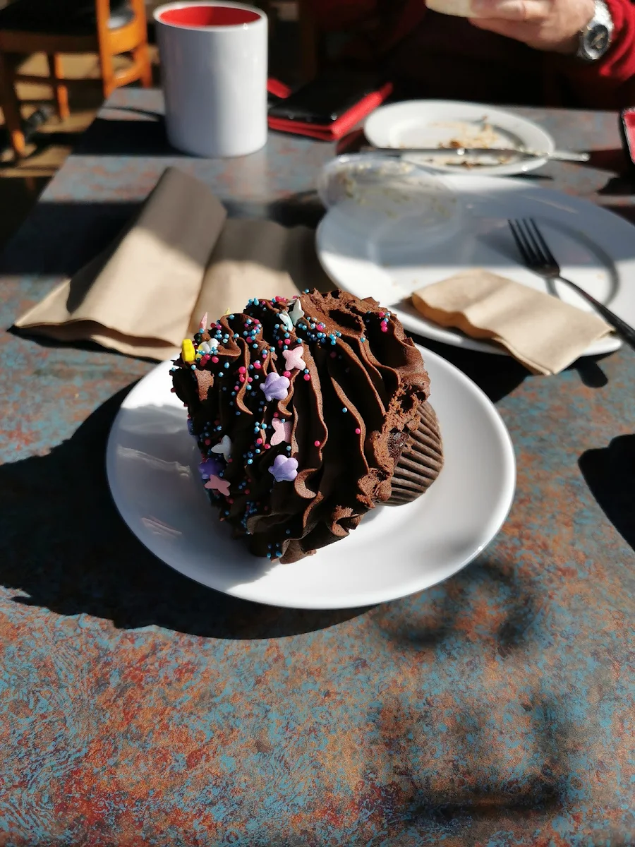 Chocolate Cupcake