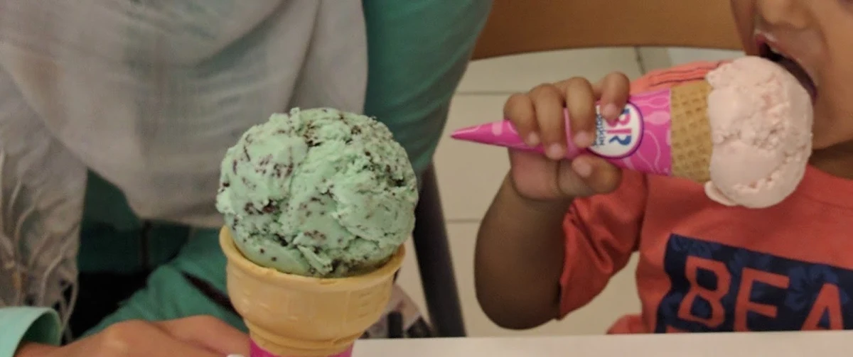 Classic Mint Chocolate Chip