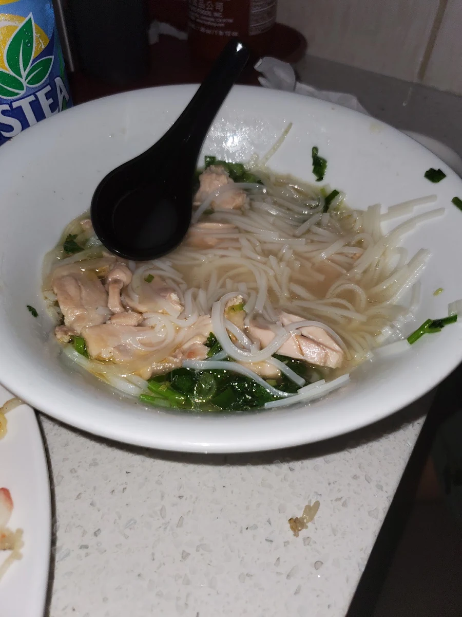 Chicken Pho Noodle Soup