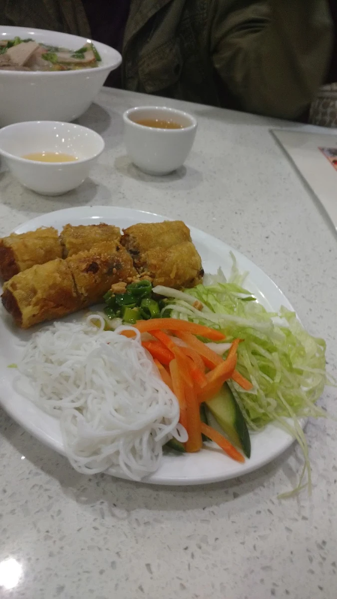 Spring Roll with Vermicelli