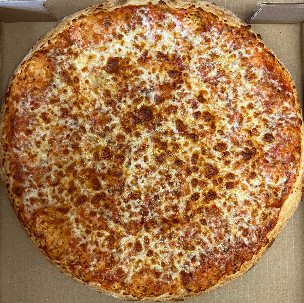 Large Pizza
