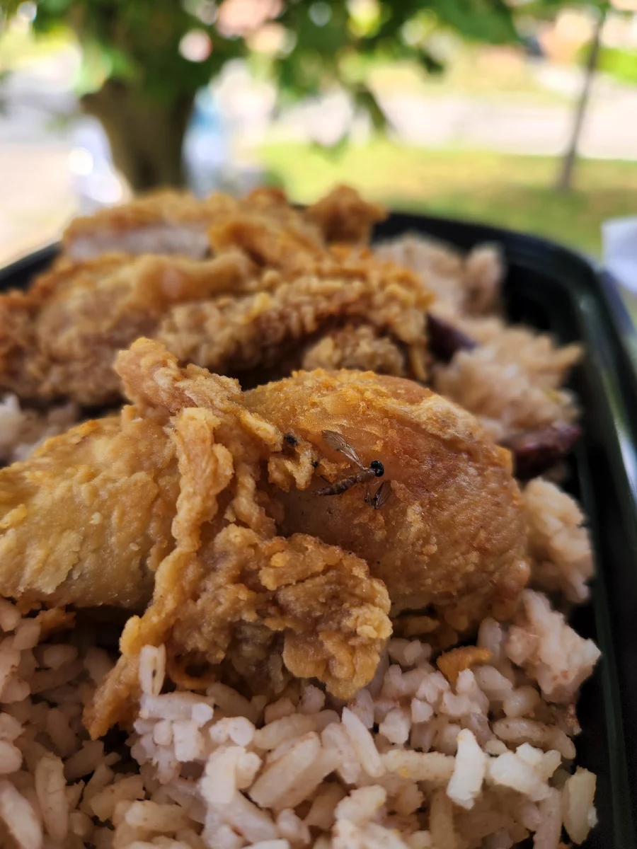 Fried Chicken Rice Bowl
