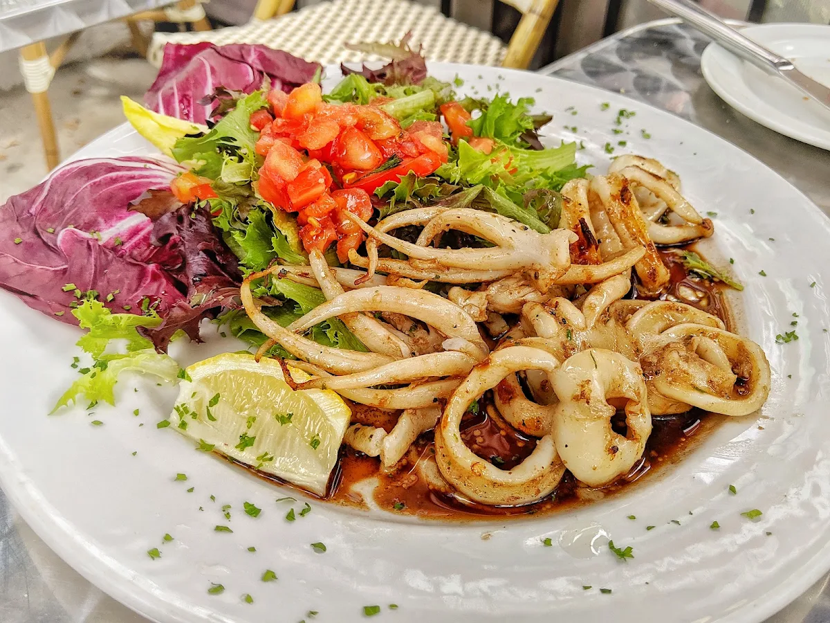 Grilled Calamari