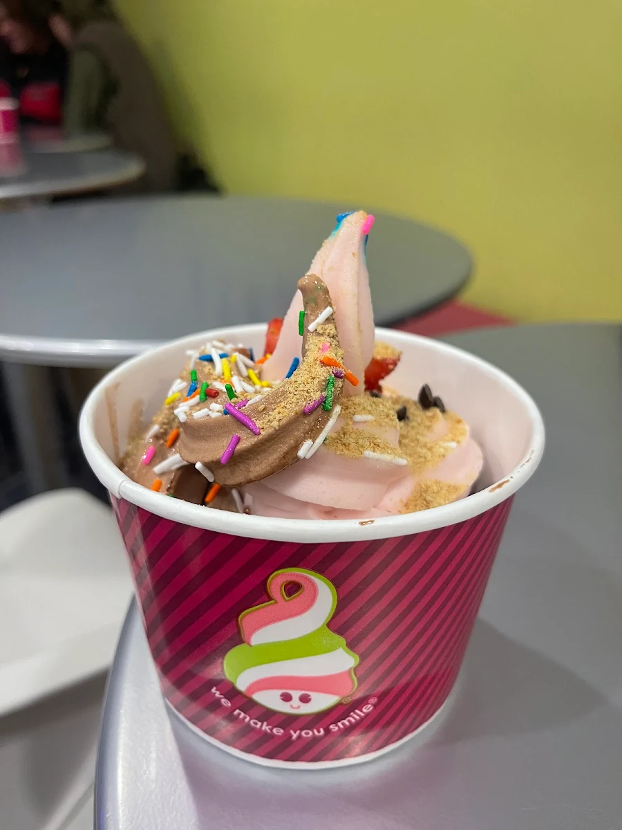 Medium Frozen Yogurt