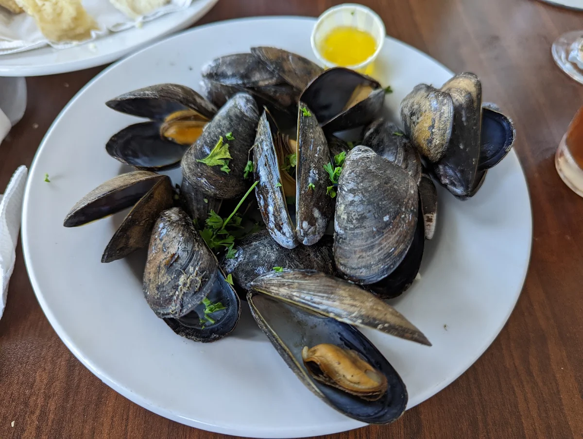 Steamed Mussels