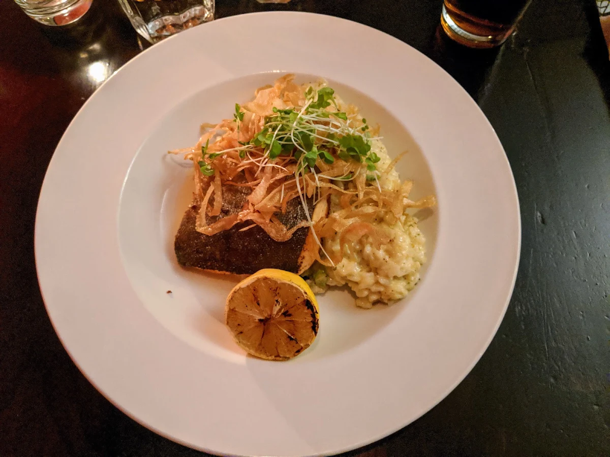 Arctic Char