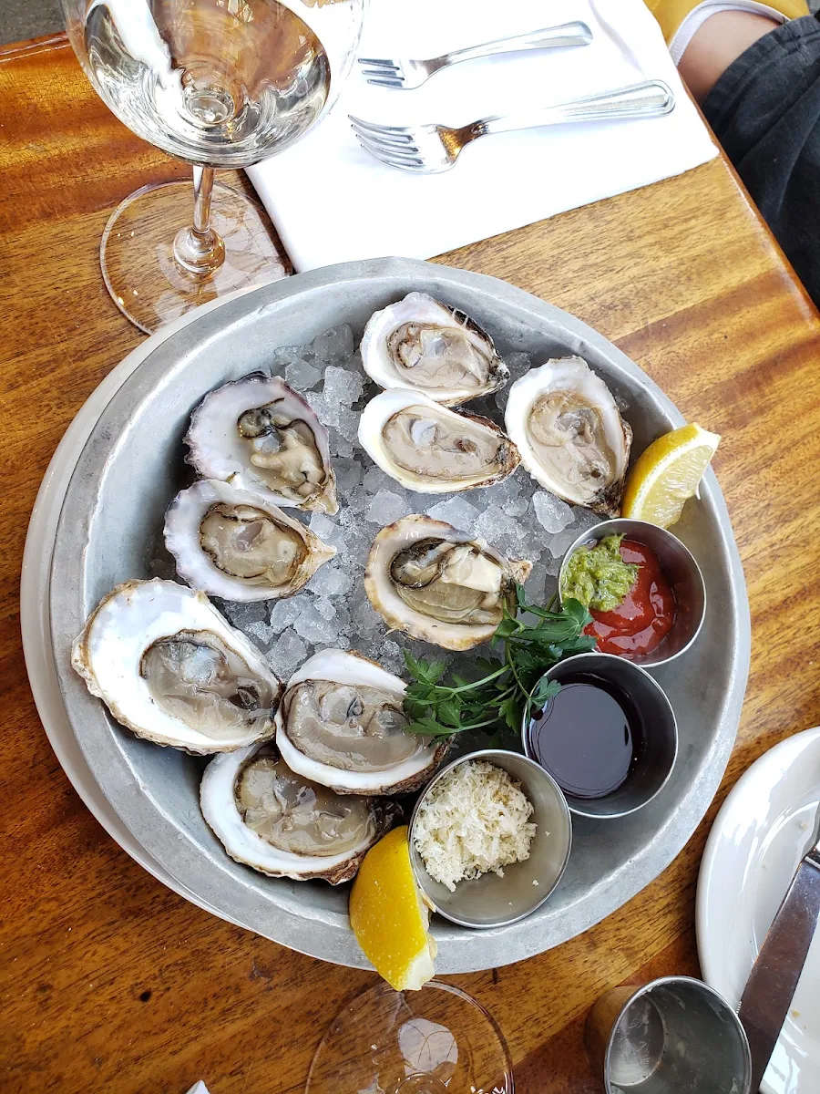 Fresh Oysters