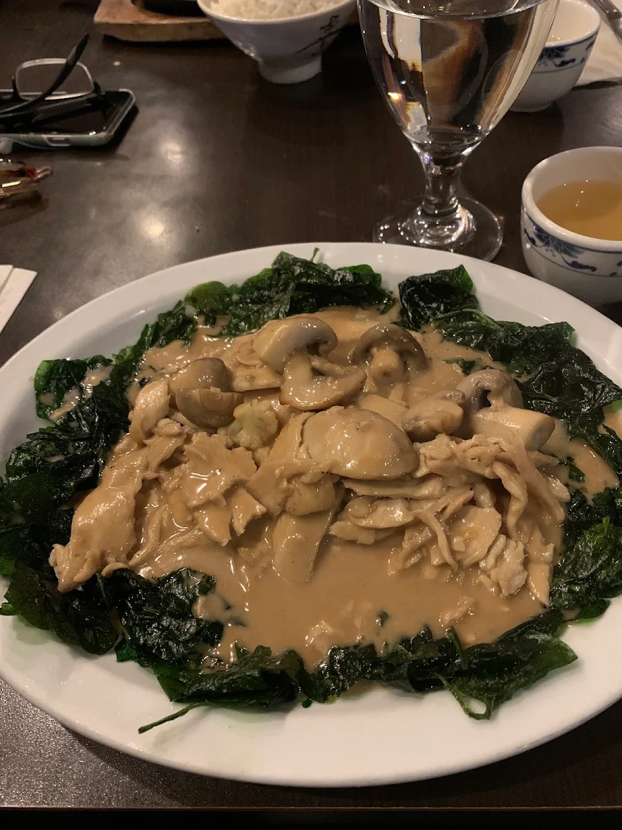 Riz Et Poulet Sur Un Lit D'épinards Croustillant Un Régal