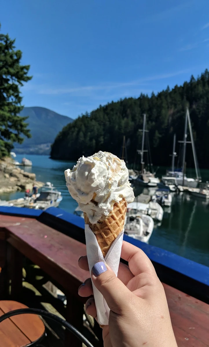 Vegan Orange Creamsicle