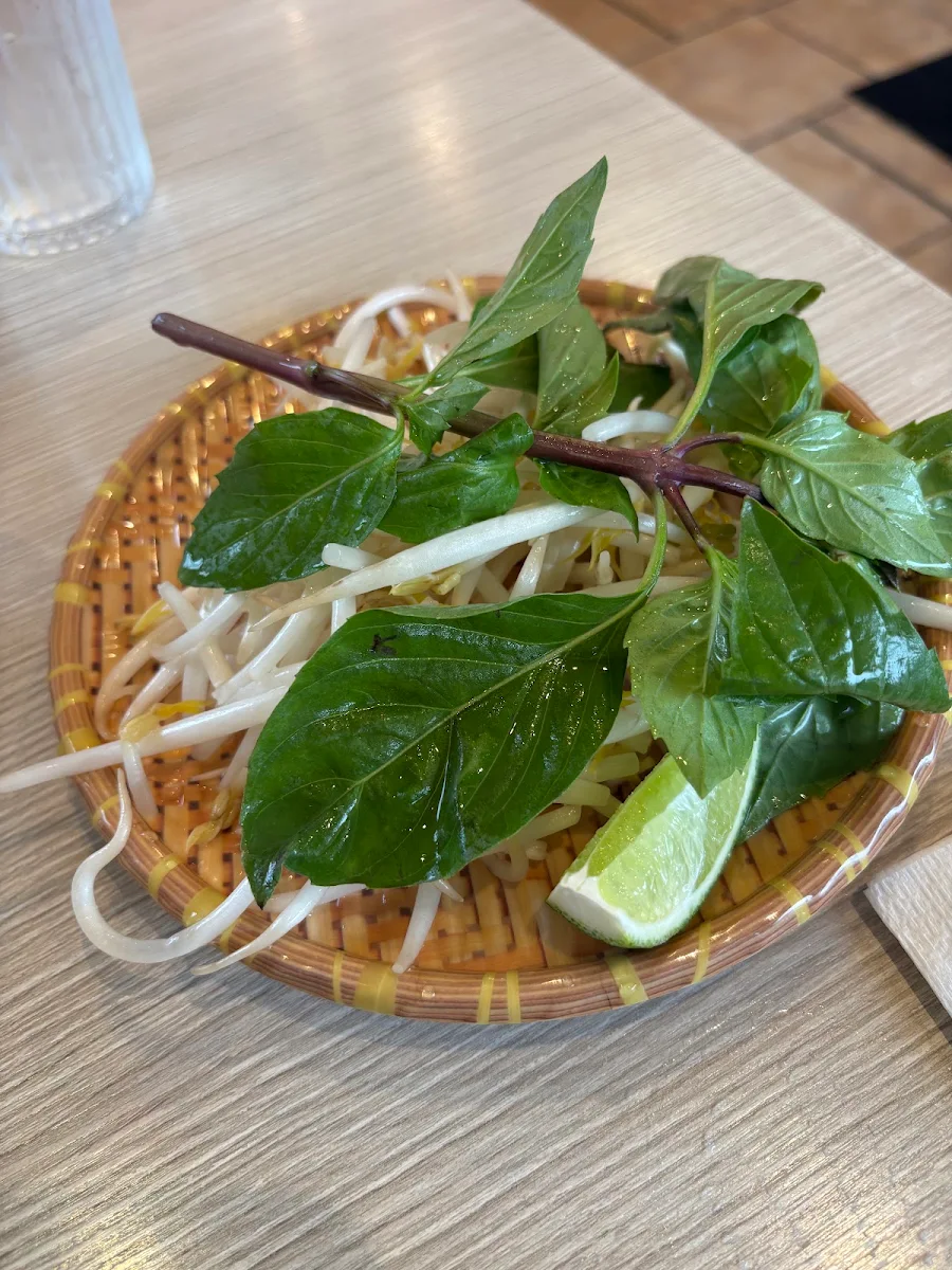 Thai Basil and Bean Sprouts