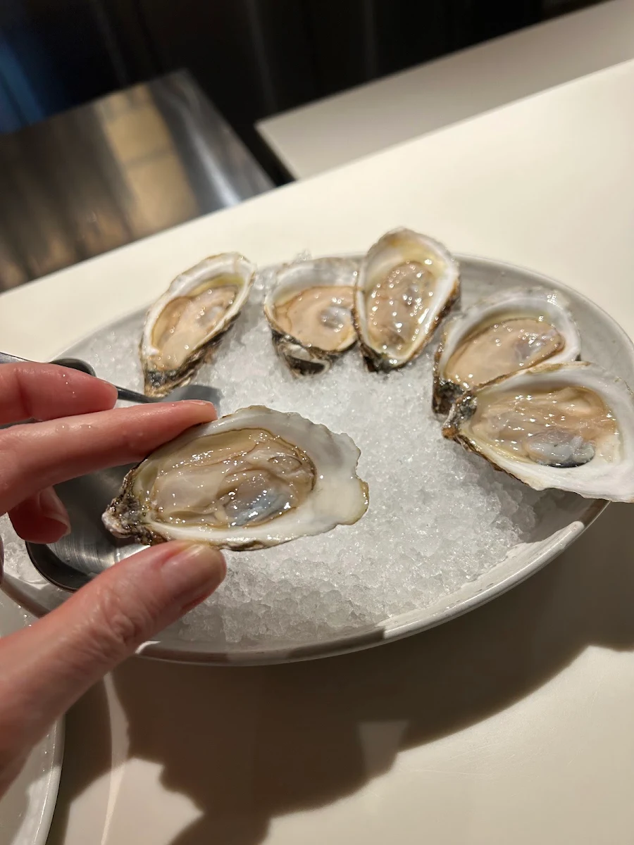Fresh Oysters