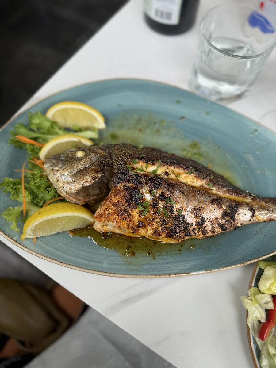 Sea Bream