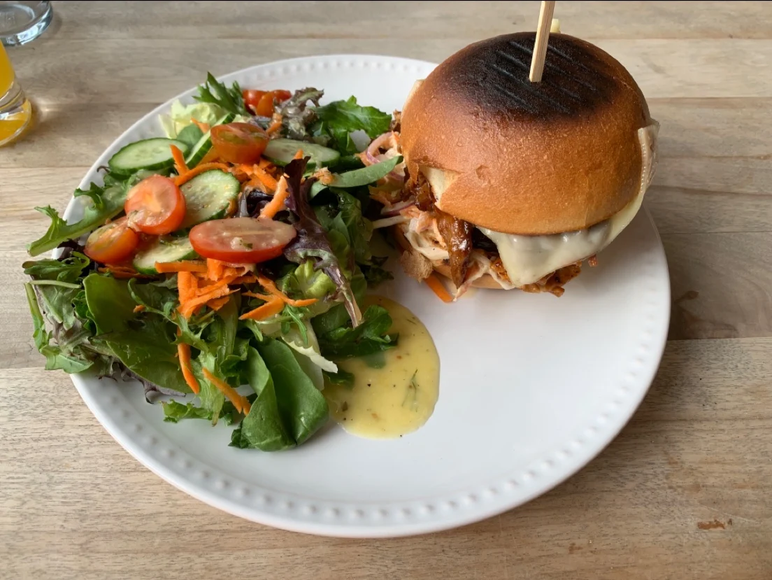 Pulled Pork Sandwich and Garden Salad
