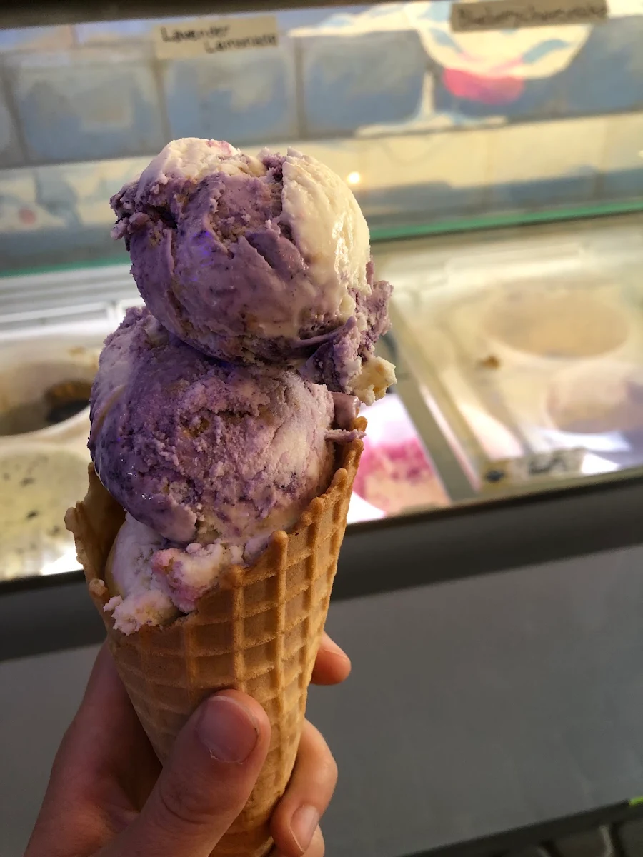 Blueberry Cheesecake