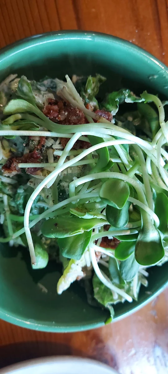 Ceaser Salad