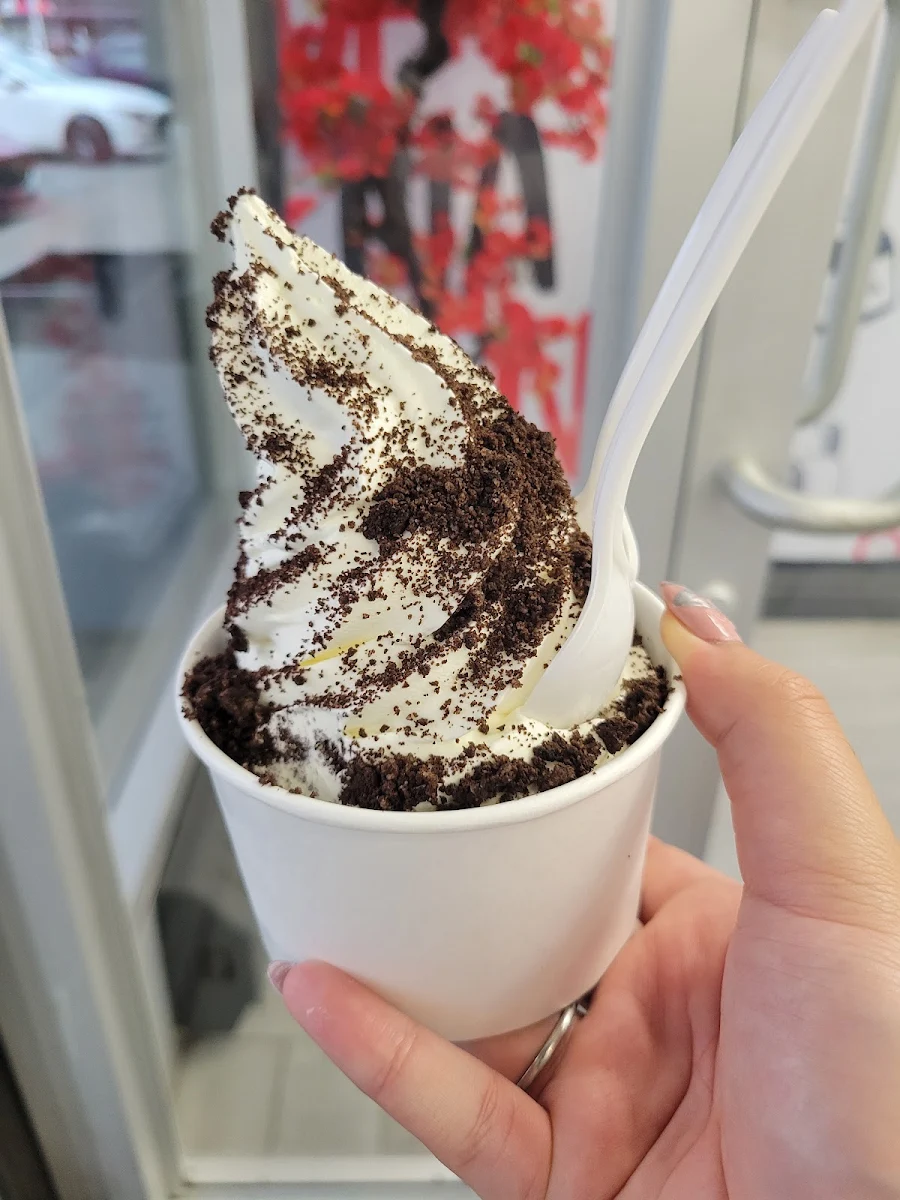 Oreo Ice Cream