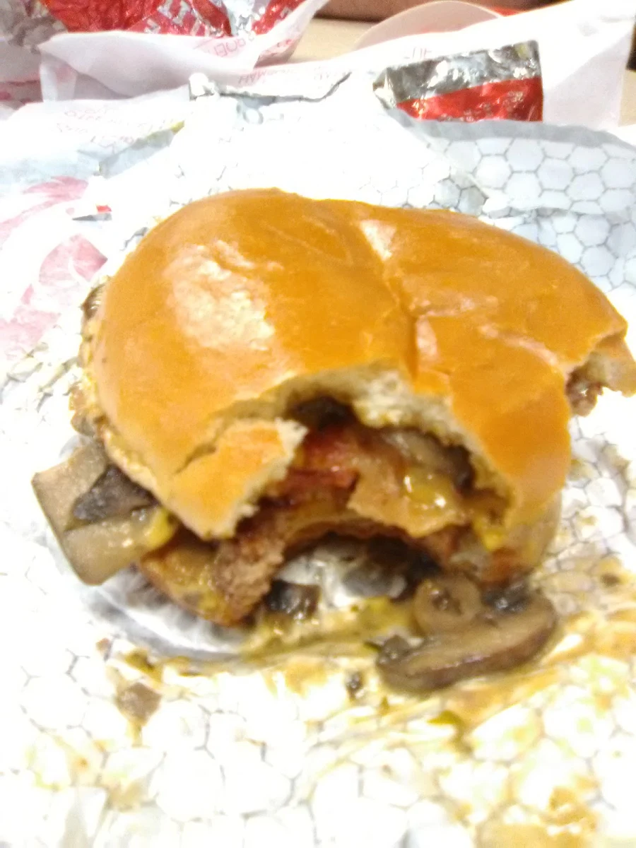Mushroom Burger