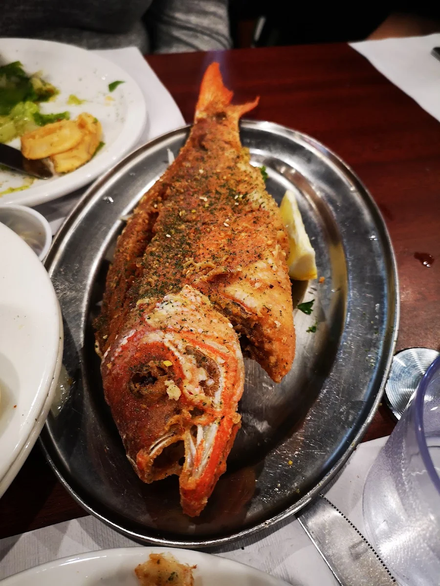 Red Snapper