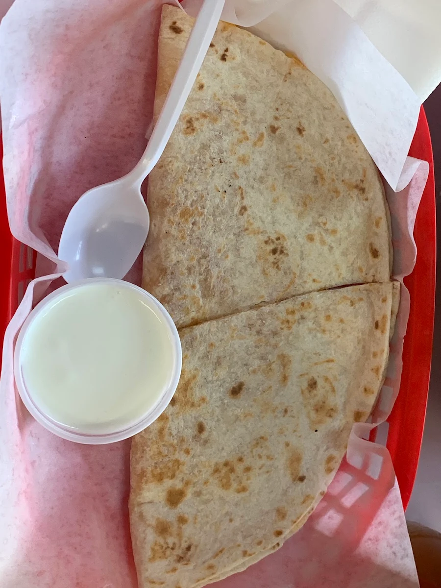 Cheese Quesadilla