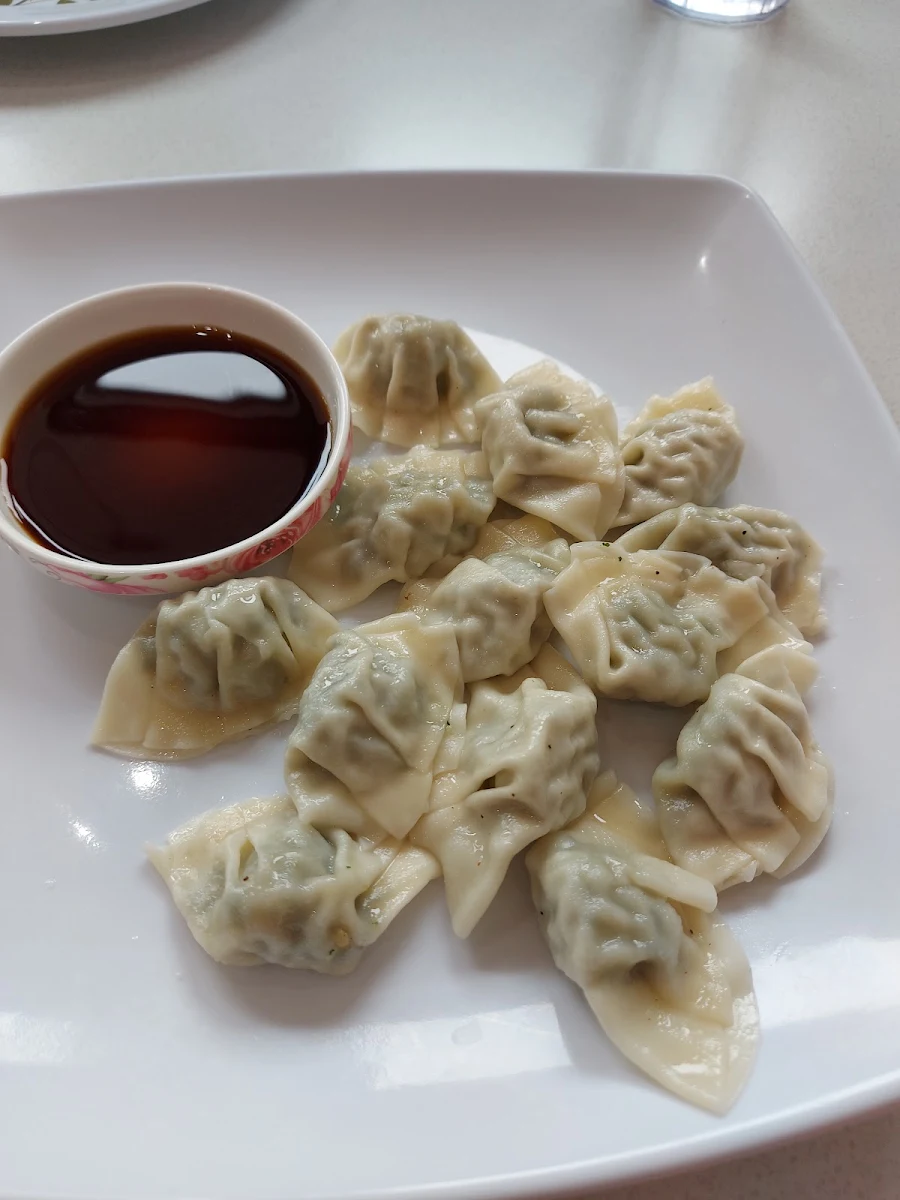 Fried Dumplings
