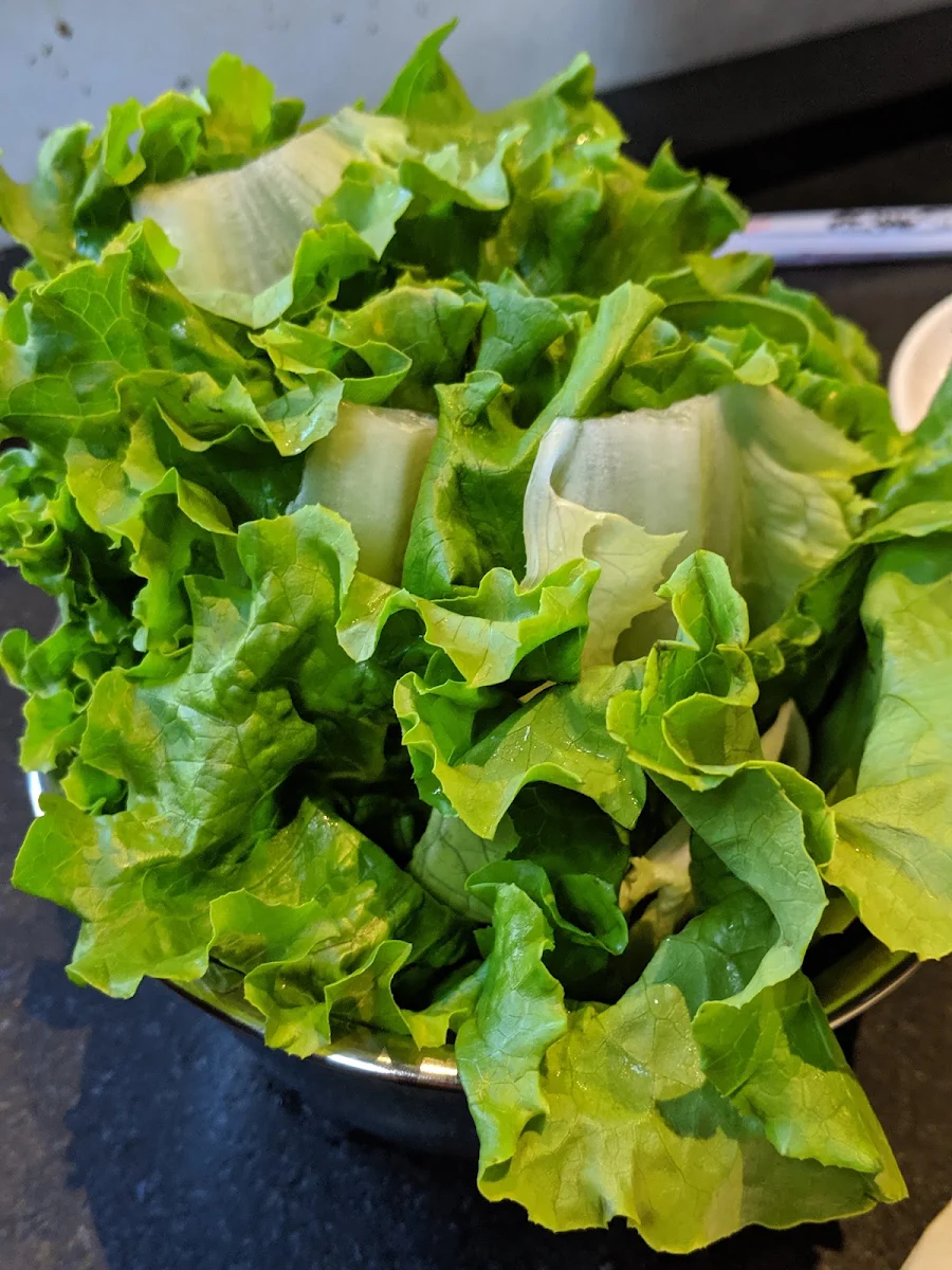 Lettuce